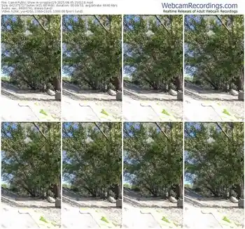 cam4-viraglaci18-08-05-2025-15-01-18