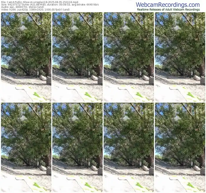 cam4-viraglaci18-08-05-2025-15-01-18