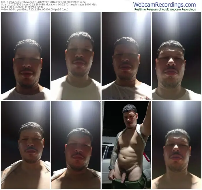 cam4-pelahkweedman-08-08-2025-03-20-23