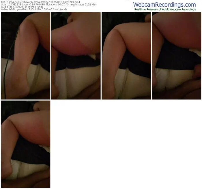 cam4-mermaidntiger-08-10-2025-22-37-49