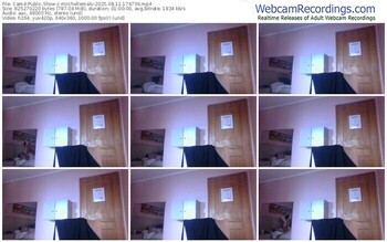 cam4-miichellemalv-08-11-2025-17-47-36