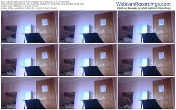 cam4-miichellemalv-08-11-2025-17-47-36