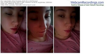 cam4-vvleskv-08-11-2025-06-27-50