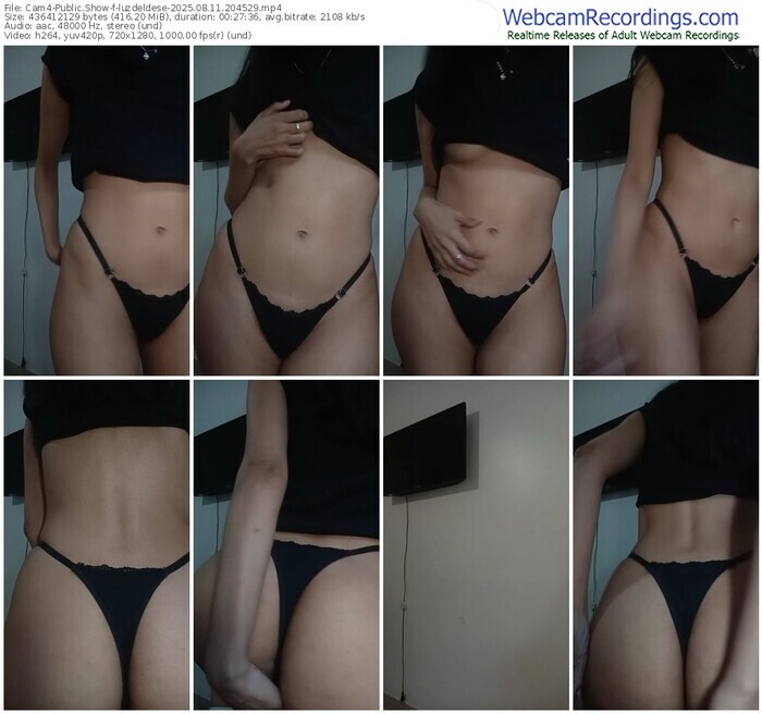 cam4-luzdeldese-08-11-2025-20-45-29