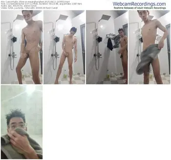 cam4-hwanghonghae-08-11-2025-10-36-53