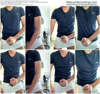 cam4-mlkgato01-08-11-2025-15-10-57