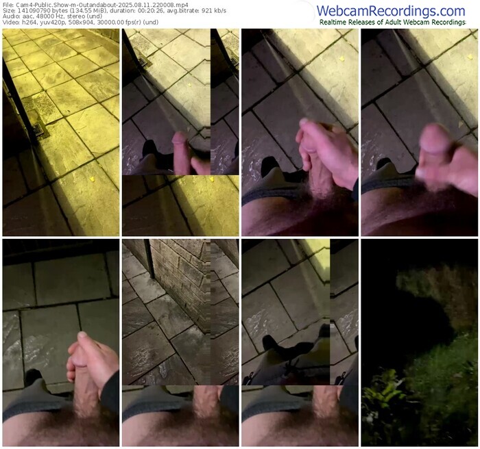 cam4-outandabout-08-11-2025-22-00-08