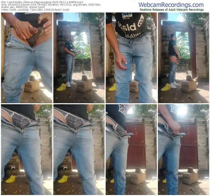 cam4-papiyoungpig-08-11-2025-14-48-58