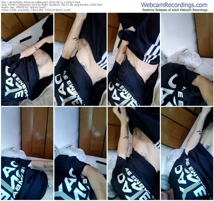 cam4-sableye21-08-11-2025-17-54-13