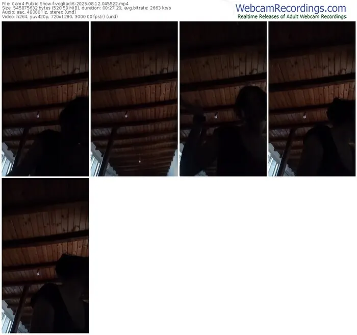 cam4-vogliadi6-08-12-2025-04-55-22