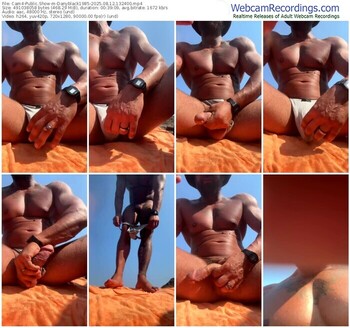 cam4-danyblack1985-08-12-2025-13-24-00