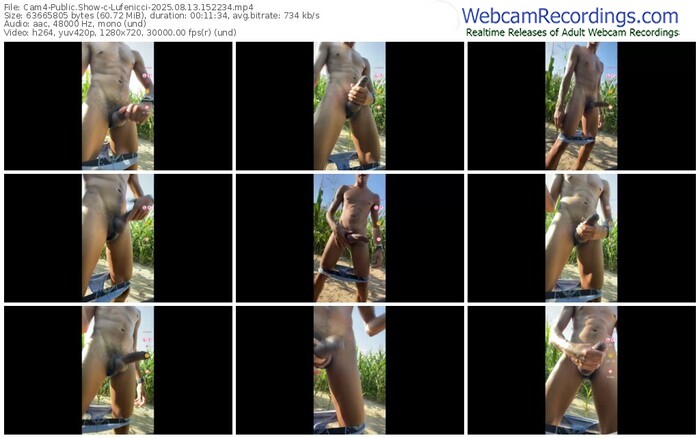 cam4-lufenicci-08-13-2025-15-22-34