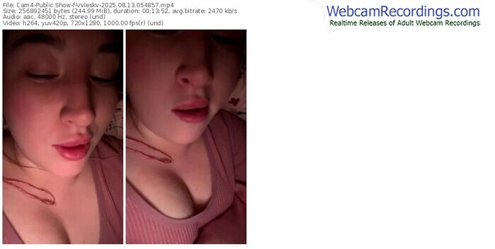 cam4-vvleskv-08-13-2025-05-48-57
