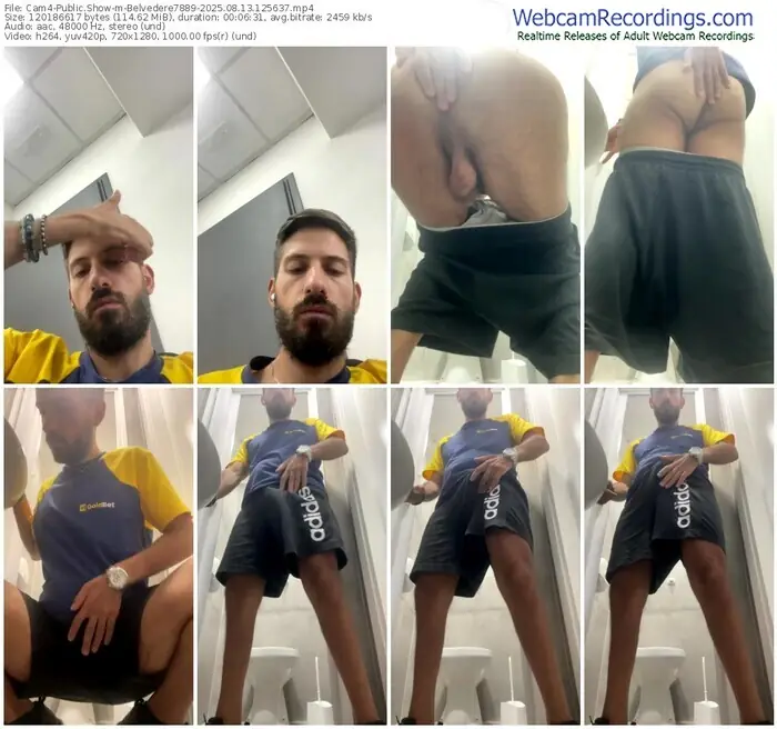 cam4-belvedere7889-08-13-2025-12-56-37