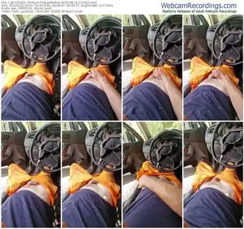 cam4-thelastbebos-08-13-2025-12-24-42