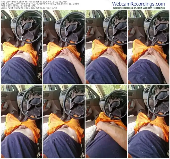 cam4-thelastbebos-08-13-2025-12-24-42