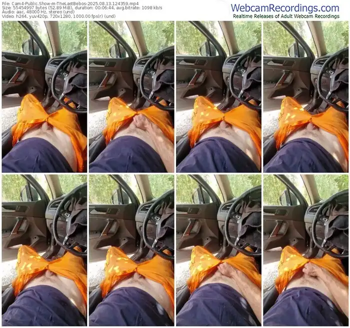 cam4-thelastbebos-08-13-2025-12-43-59