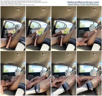 cam4-ticklishtiger43-08-13-2025-20-00-00