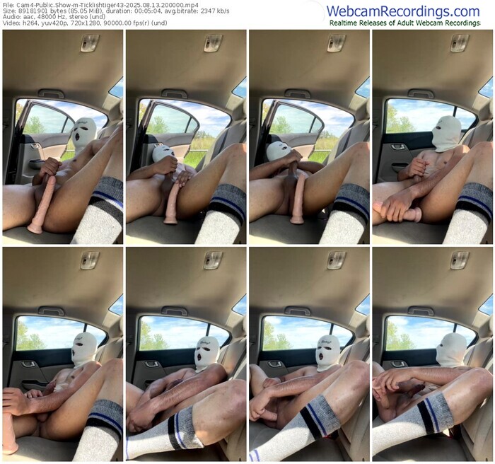 cam4-ticklishtiger43-08-13-2025-20-00-00