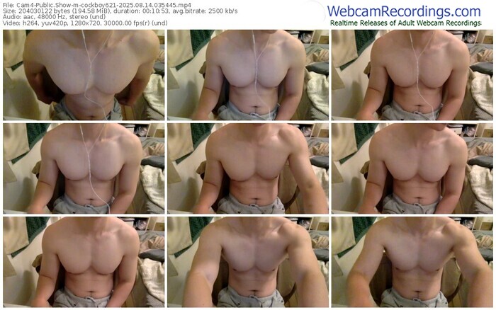 cam4-cockboy621-08-14-2025-03-54-45
