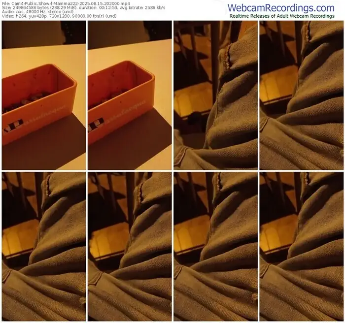 cam4-mamma222-08-15-2025-20-20-00