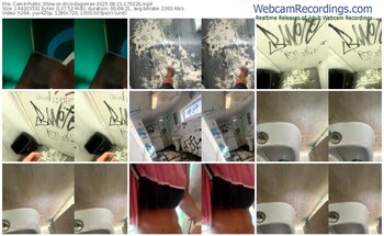 cam4-alcindogomes-08-15-2025-17-02-26