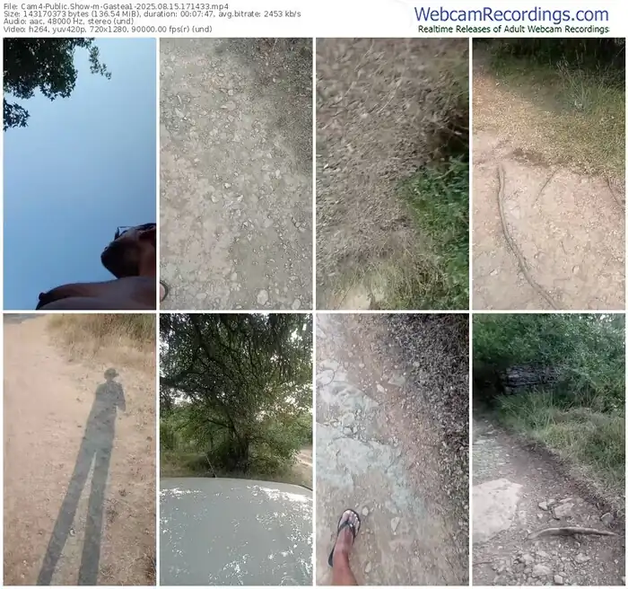 cam4-gastea1-08-15-2025-17-14-33