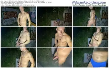 cam4-darksecret_lar-08-15-2025-23-38-19