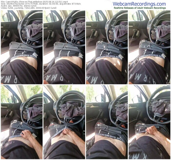 cam4-thelastbebos-08-16-2025-12-15-11