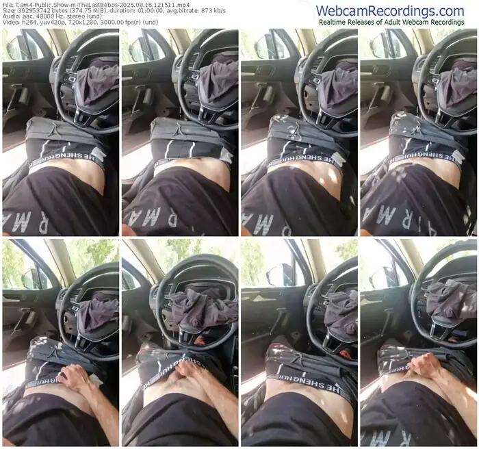 cam4-thelastbebos-08-16-2025-12-15-11