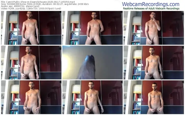 cam4-deansschwanz-08-17-2025-16-53-50