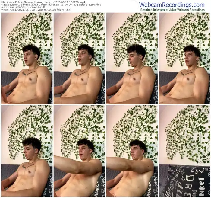 cam4-bravo_maestro-08-17-2025-16-07-58