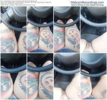 cam4-luz091-08-18-2025-20-36-35