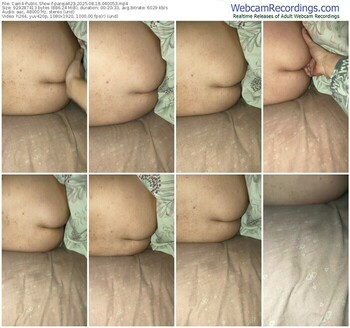 cam4-pareja423-08-18-2025-04-00-53