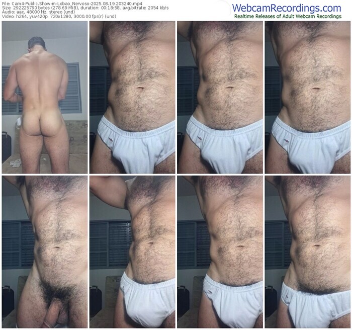 cam4-lobao_nervoso-08-19-2025-20-32-40