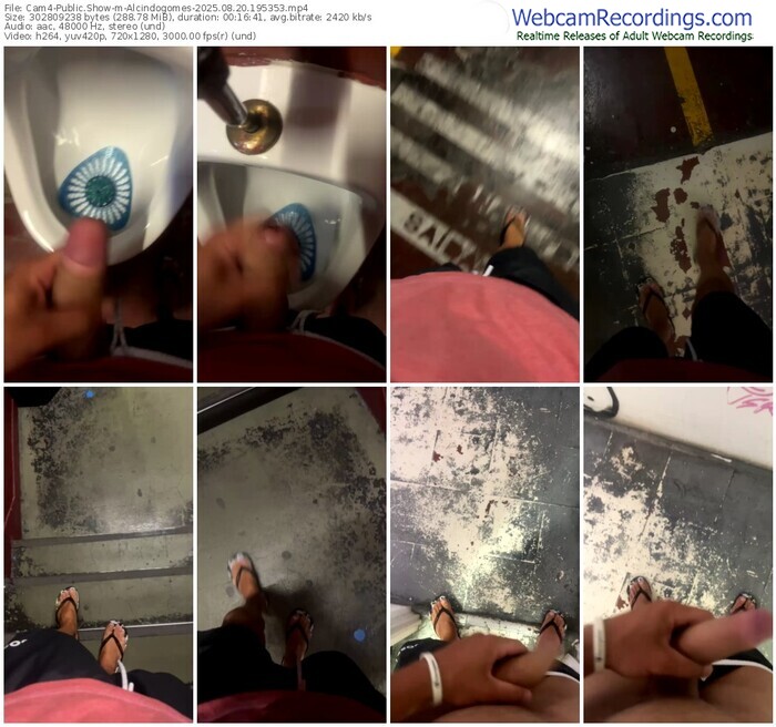 cam4-alcindogomes-08-20-2025-19-53-53