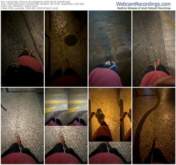 cam4-alcindogomes-08-20-2025-21-06-48