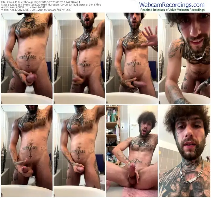 cam4-bigprofit95-08-20-2025-12-42-28