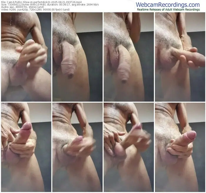 cam4-perfectdick21-08-21-2025-09-37-26