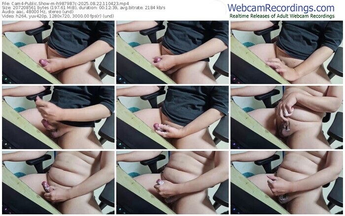 cam4-h987987c-08-22-2025-11-04-23