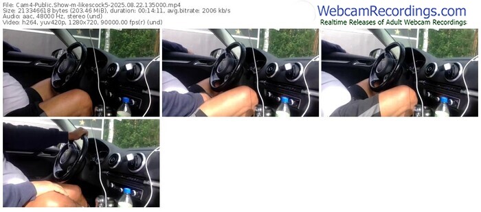 cam4-likescock5-08-22-2025-13-50-00