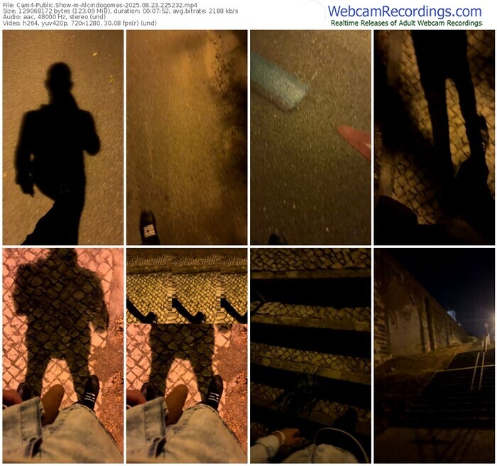 cam4-alcindogomes-08-23-2025-22-52-32