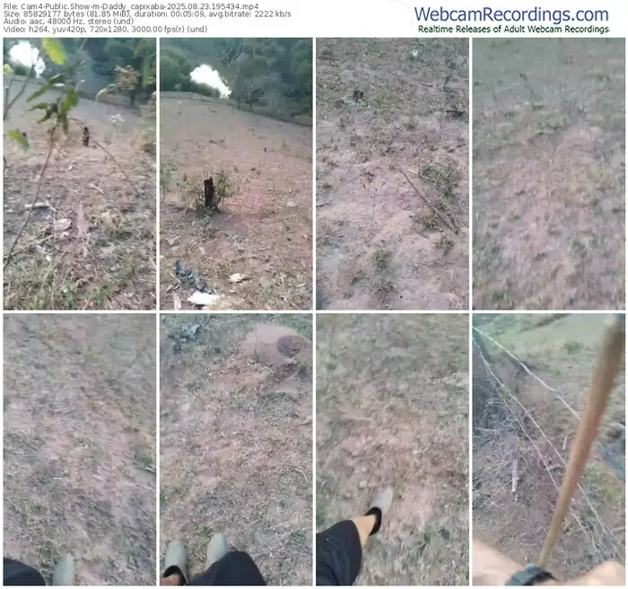 cam4-daddy_capixaba-08-23-2025-19-54-34