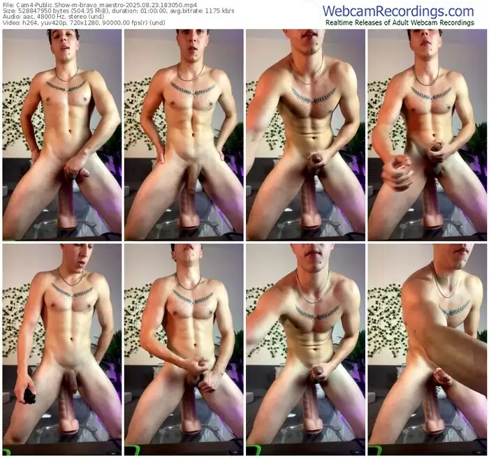 cam4-bravo_maestro-08-23-2025-18-30-50
