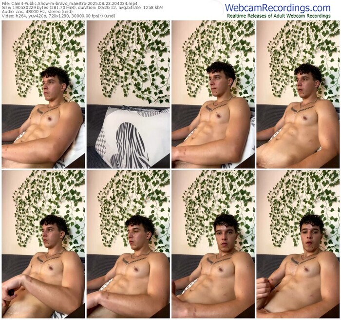 cam4-bravo_maestro-08-23-2025-20-40-34
