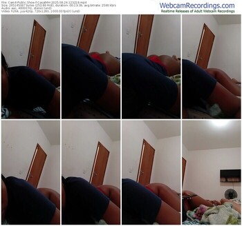 cam4-casalmh-08-24-2025-12-32-18