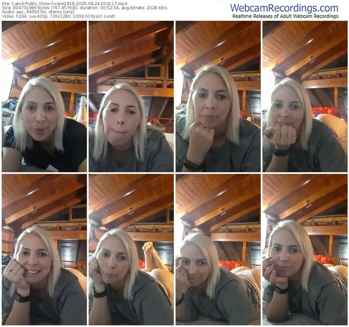 cam4-vane1818-08-24-2025-00-31-17