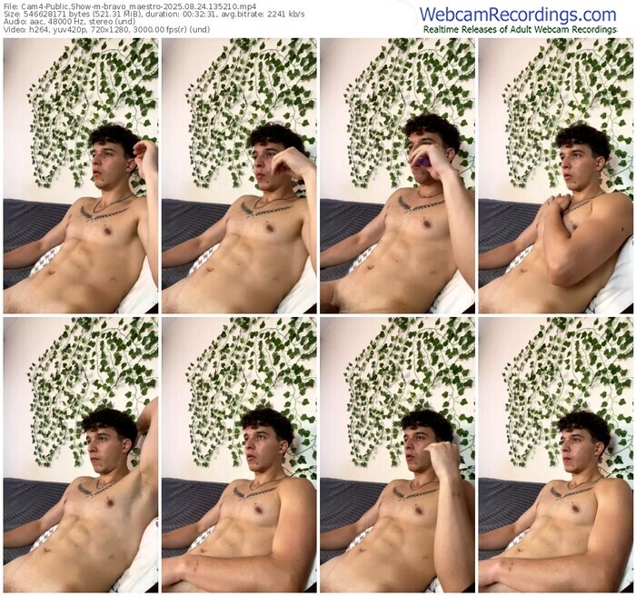 cam4-bravo_maestro-08-24-2025-13-52-10