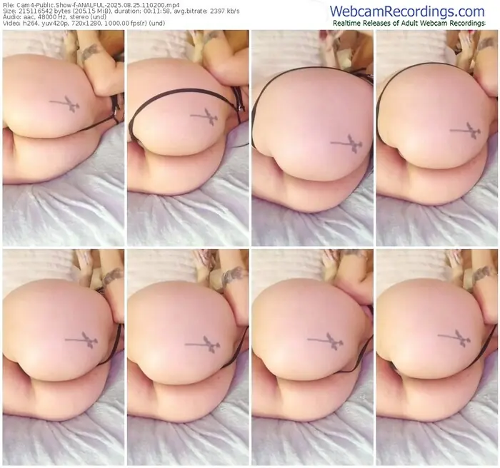 cam4-analful-08-25-2025-11-02-00