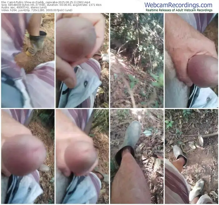 cam4-daddy_capixaba-08-25-2025-11-29-02